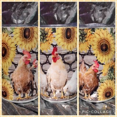 Chicken Sunflower RTS Finished Tumblers/Sublimation Transfers